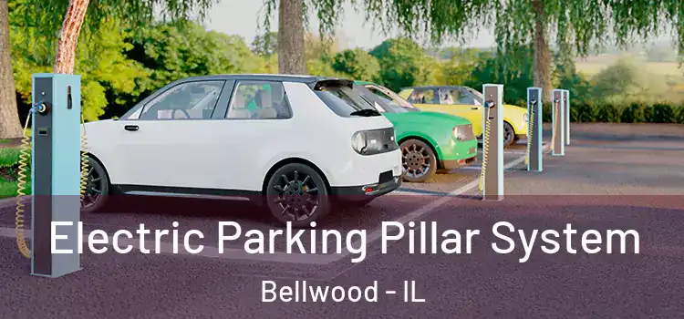  Electric Parking Pillar System Bellwood - IL