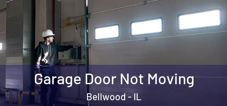  Garage Door Not Moving Bellwood - IL