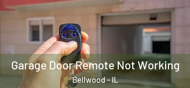  Garage Door Remote Not Working Bellwood - IL