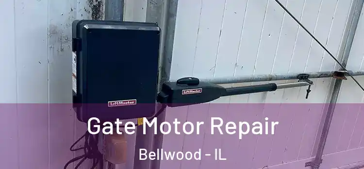  Gate Motor Repair Bellwood - IL