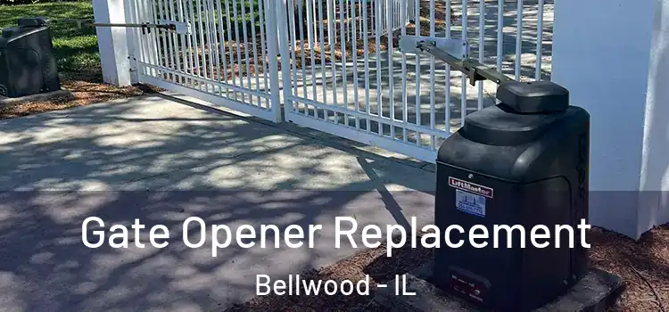  Gate Opener Replacement Bellwood - IL
