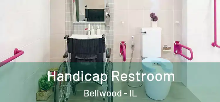  Handicap Restroom Bellwood - IL