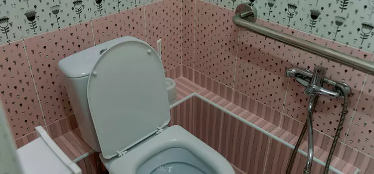 Meeting Diverse Needs With Accessible Restroom Solutions in Bellwood, IL