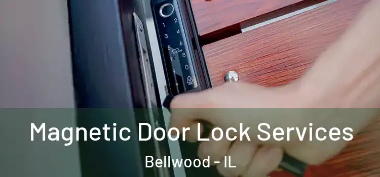  Magnetic Door Lock Services Bellwood - IL