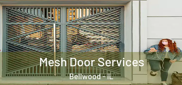 Mesh Door Services Bellwood - IL