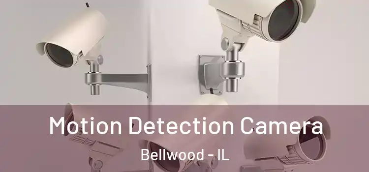  Motion Detection Camera Bellwood - IL