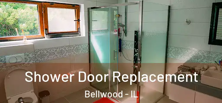 Shower Door Replacement Bellwood - IL