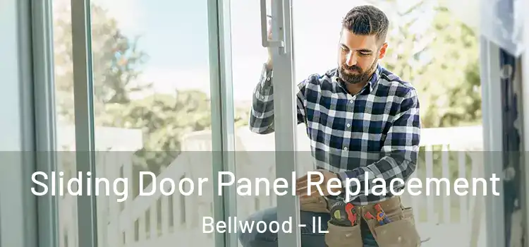  Sliding Door Panel Replacement Bellwood - IL