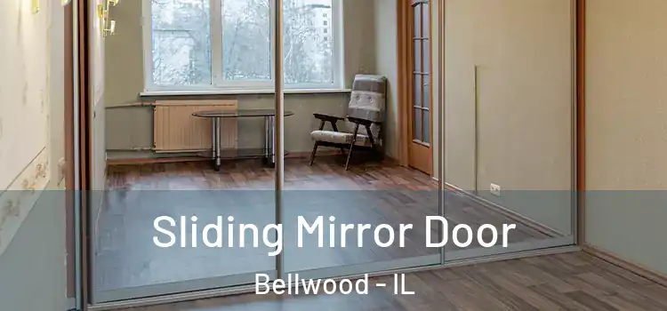  Sliding Mirror Door Bellwood - IL